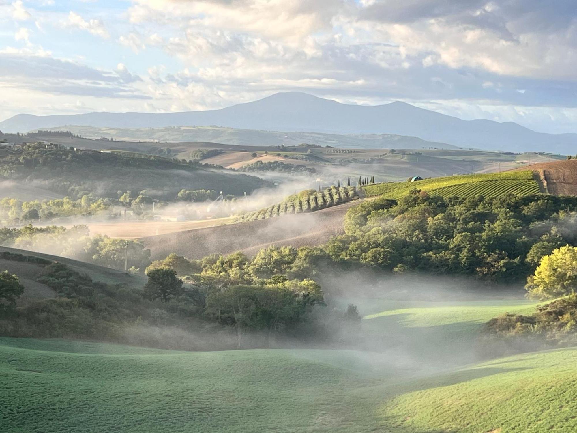 Agriturismo Monsole - Montalcino Eksteriør bilde
